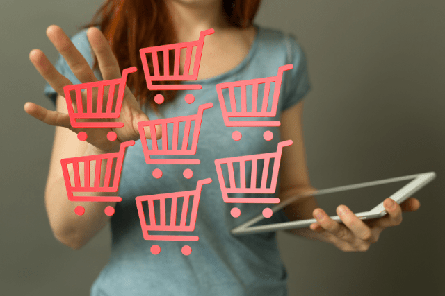 Maximizing Success with a Subscription-Based E-Commerce Model