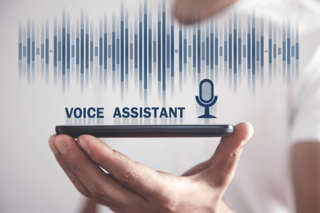 Voice Search Interface
