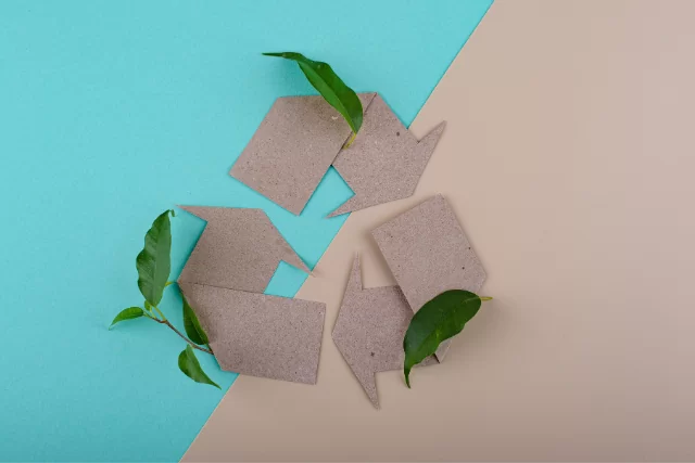 Sustainable and Eco-Friendly Products